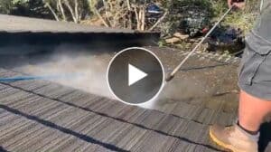 roof shingle cleaner in los angeles thumbnail